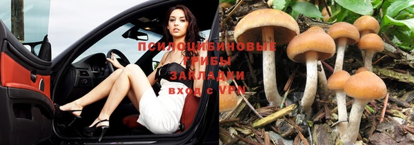 Альфа ПВП Армянск