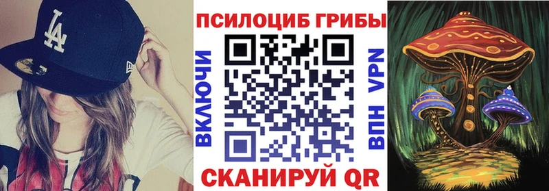МЕГА ТОР  где купить   Мещовск  Псилоцибиновые грибы Psilocybe 